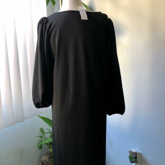 Ann Taylor Flower Dress NWT - Picture 3 of 6